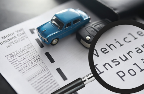 vehicle insurance policy documents